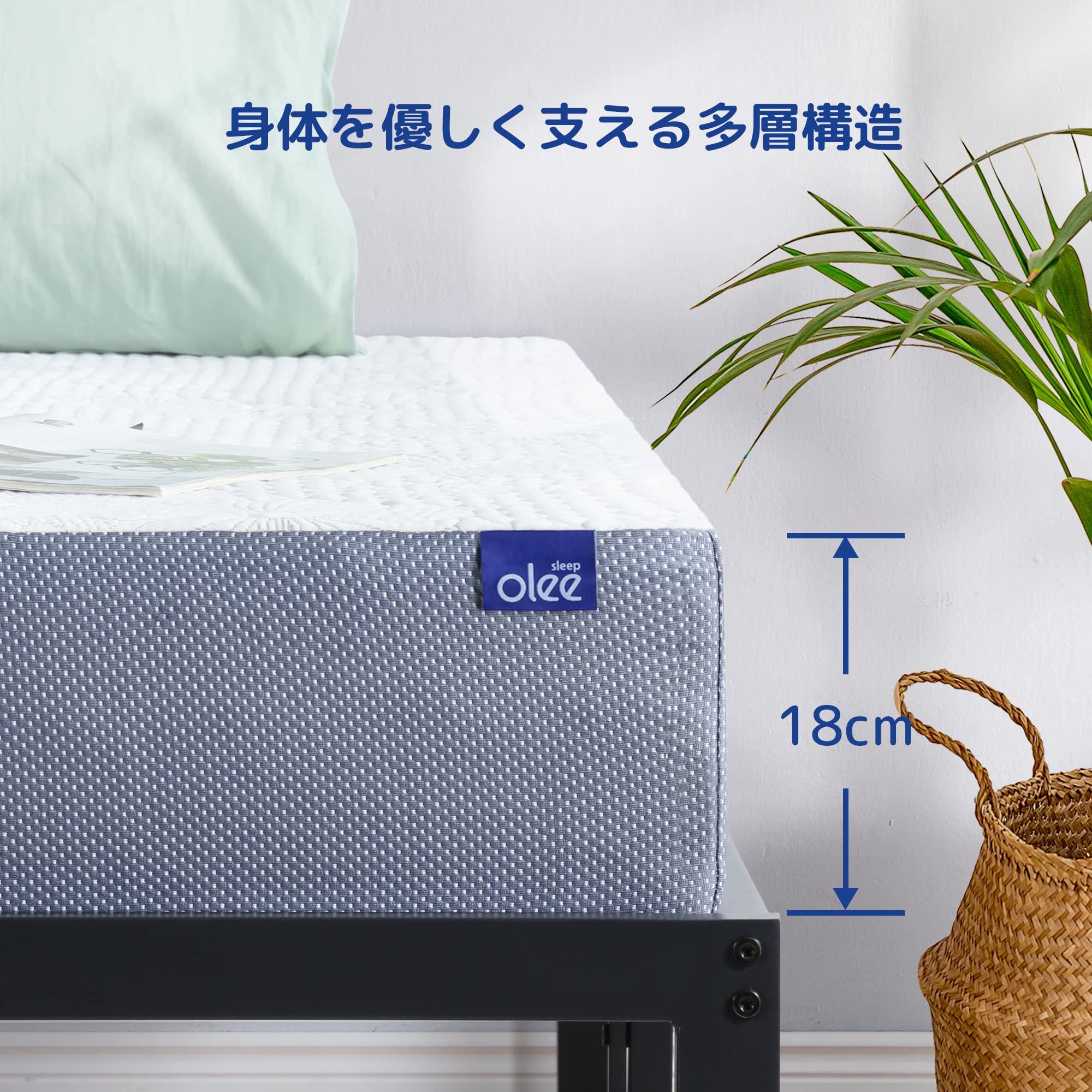 Amazon.co.jp: オリースリープ(Olee Sleep) メモリーフォーム